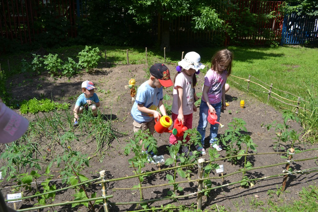 Дети посадили огород. Экскурсия в огород детского сада. Огород в детском саду на улице. Дети сажают огород. Труд в огороде в детском саду.